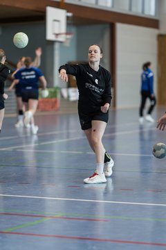 Bild 180 - F HSG Kremperheide/Muensterdorf - ATSV Stockelsdorf 2 : Ergebnis: 47:32
